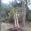 2013-10-31 13.01.34